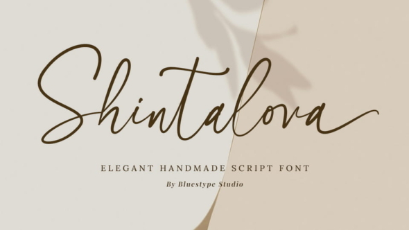Shintalova Font-九号资产实验室